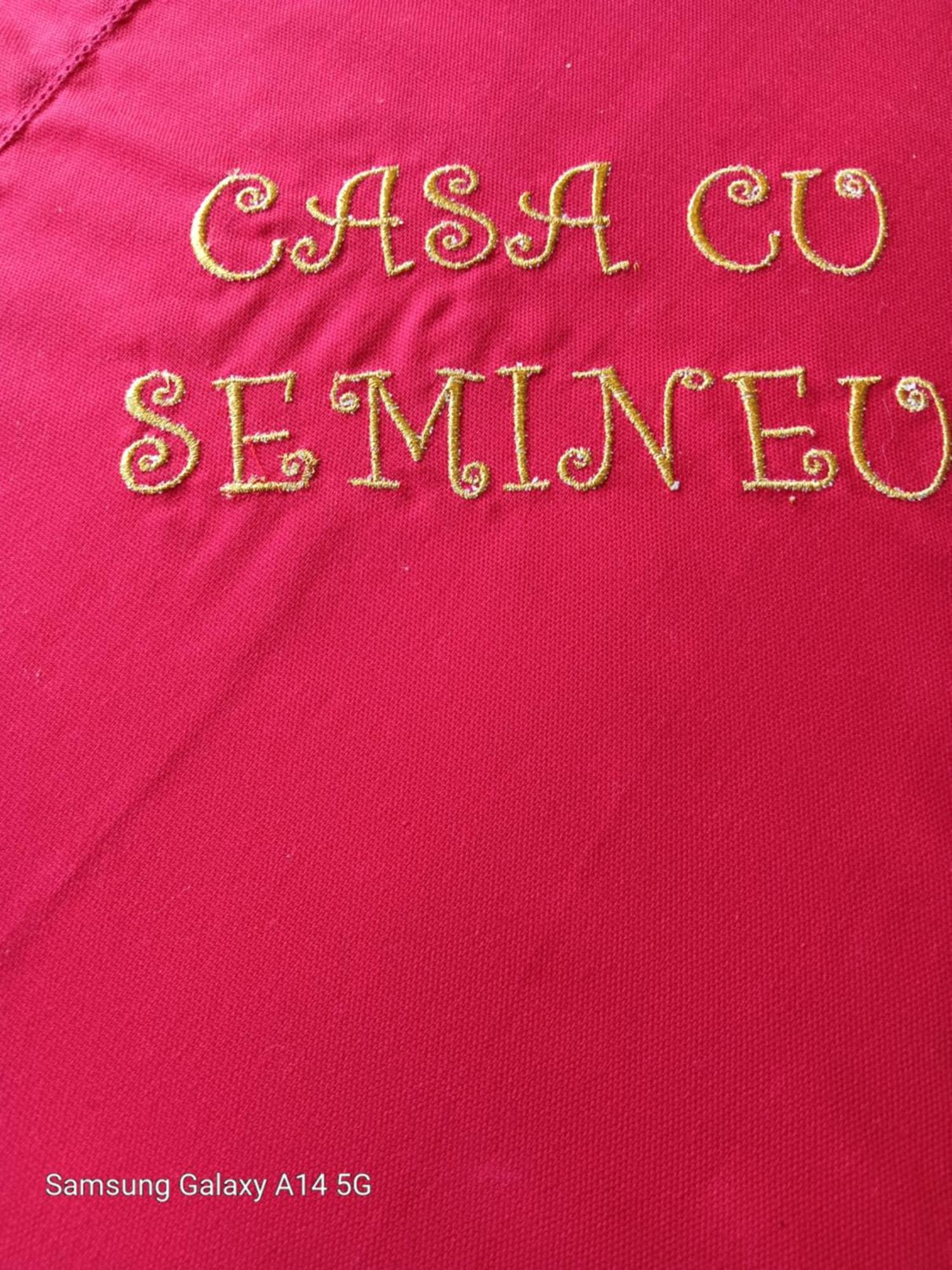 Casa Cu Semineu Moieciu Villa Moieciu de Jos Ngoại thất bức ảnh